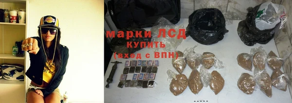 хмурый Арсеньев