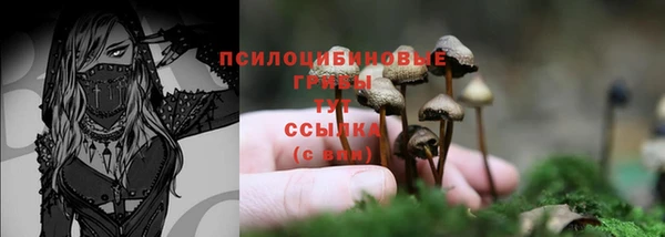 хмурый Арсеньев