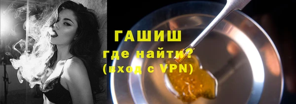 хмурый Арсеньев