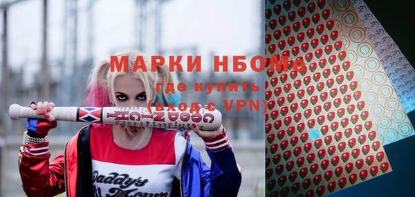 хмурый Арсеньев