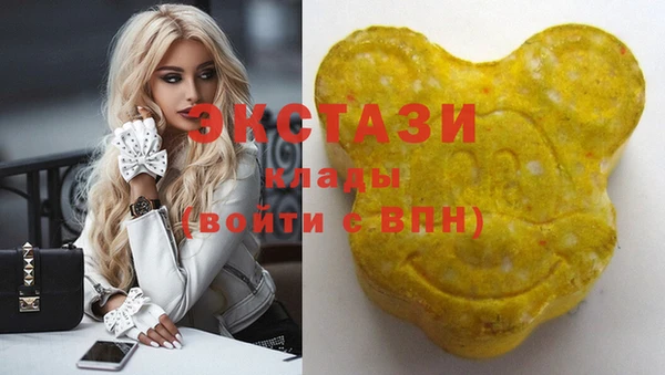 хмурый Арсеньев
