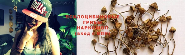 jwh Аркадак